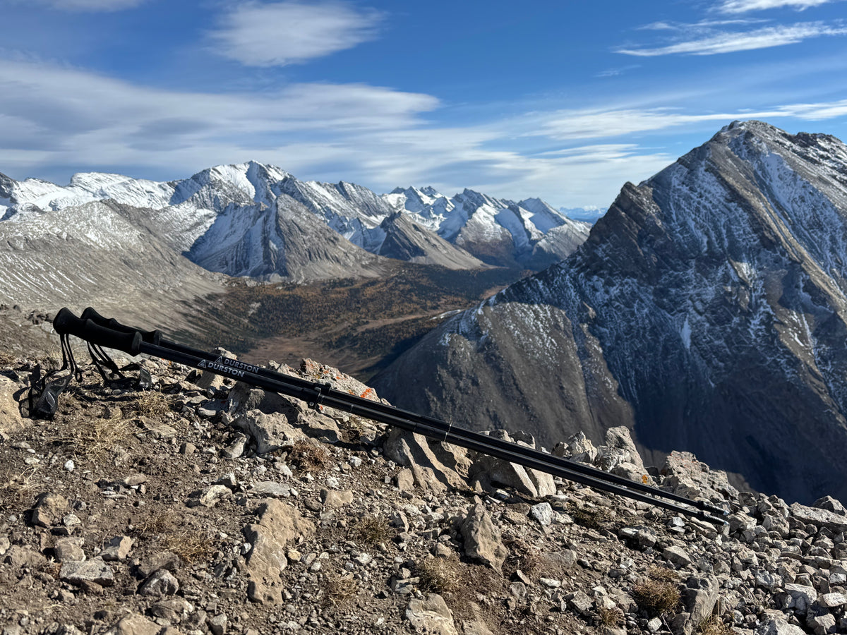 Iceline Trekking Poles