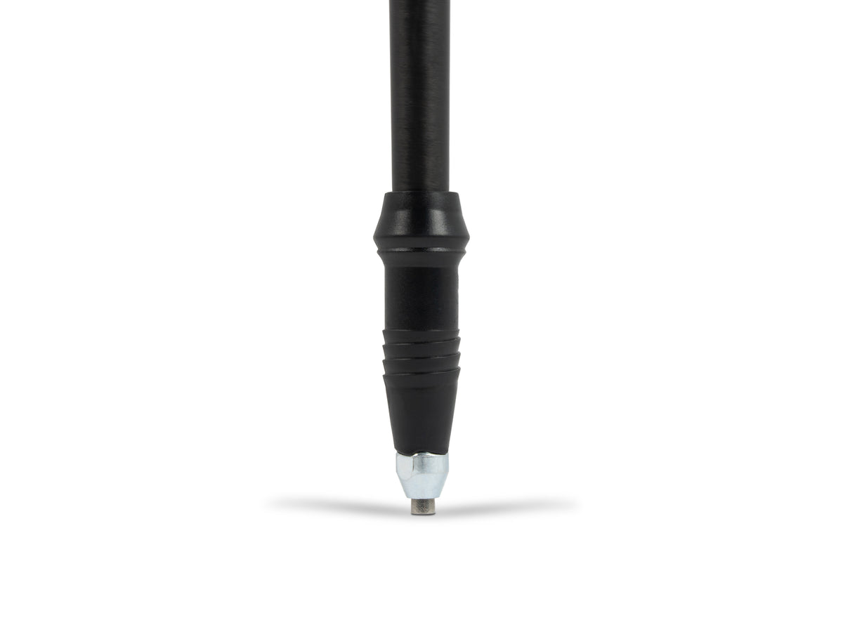 Iceline Trekking Poles