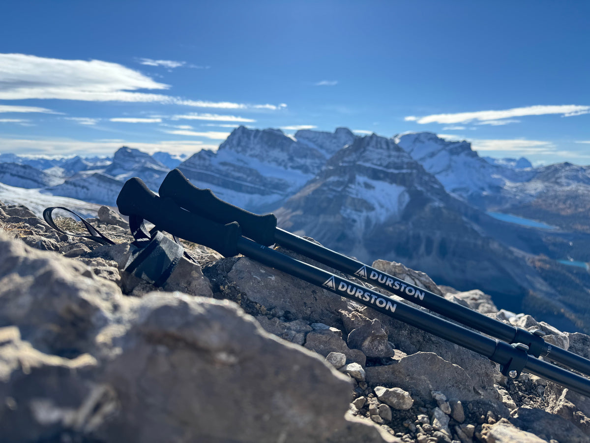 Iceline Trekking Poles