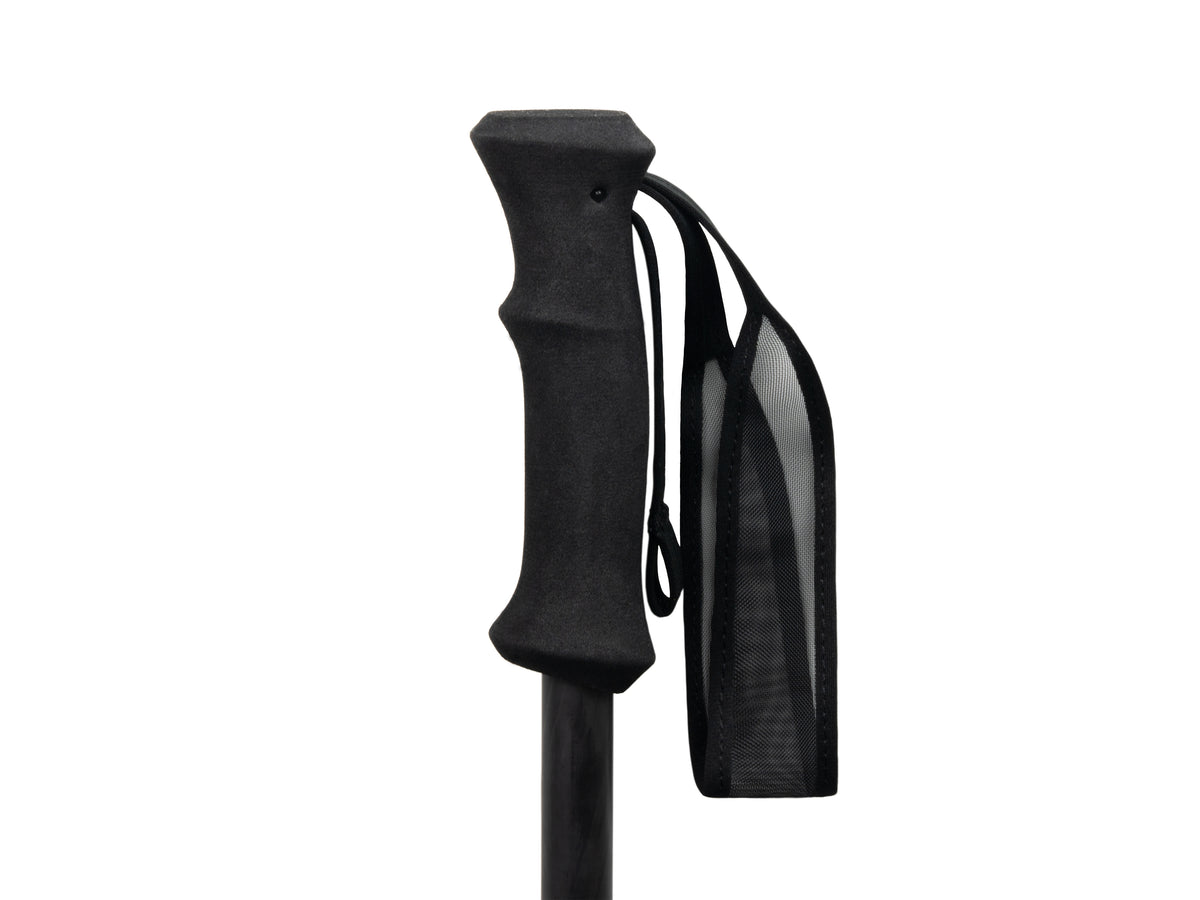 Iceline Trekking Poles